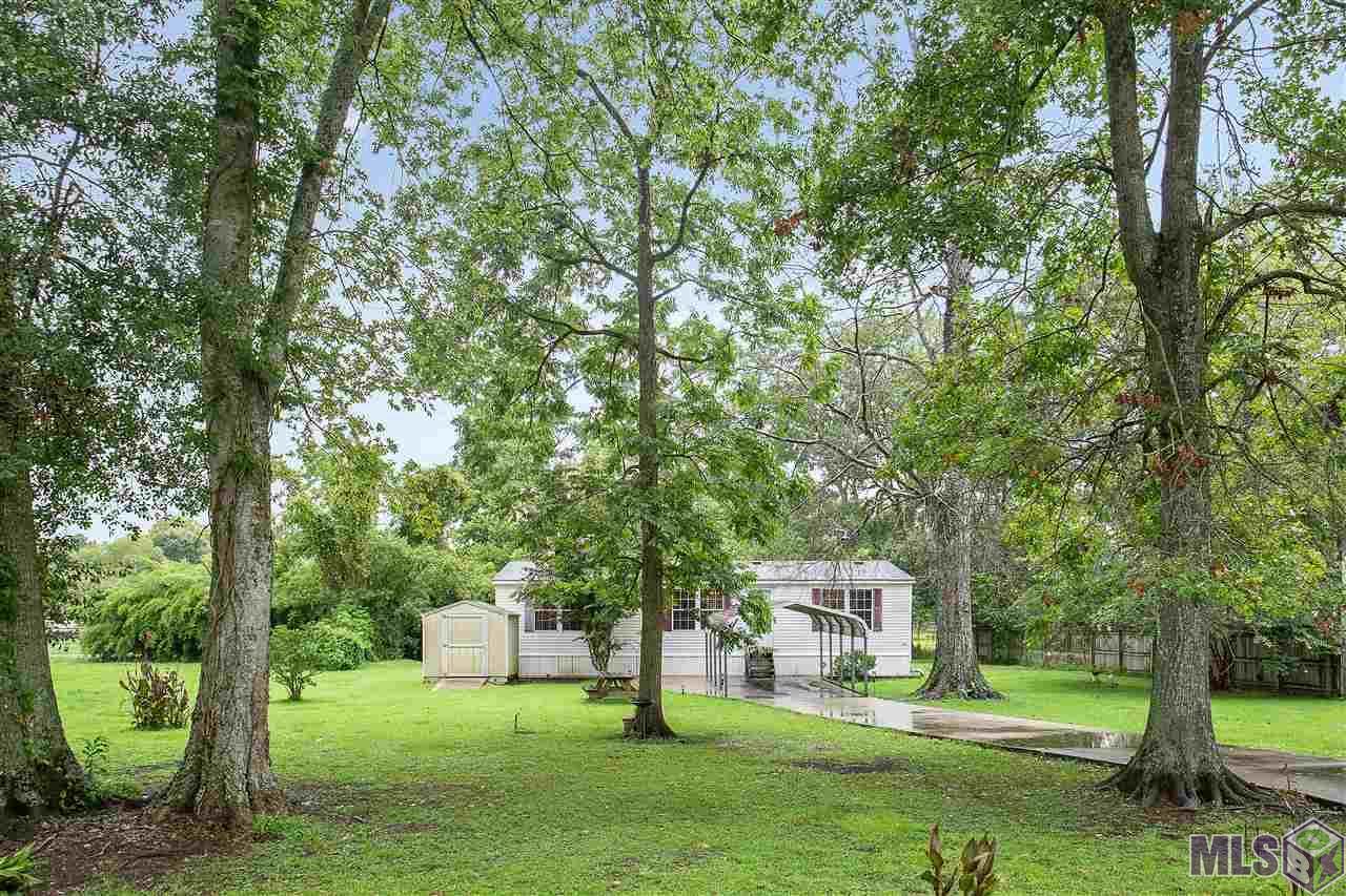 12183 Louis White Rd - Photo 1