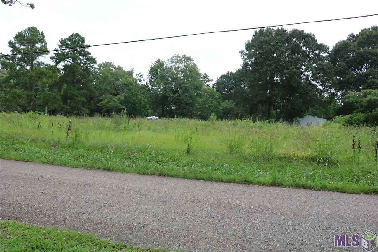 32880 La Hwy 447 - Photo 1