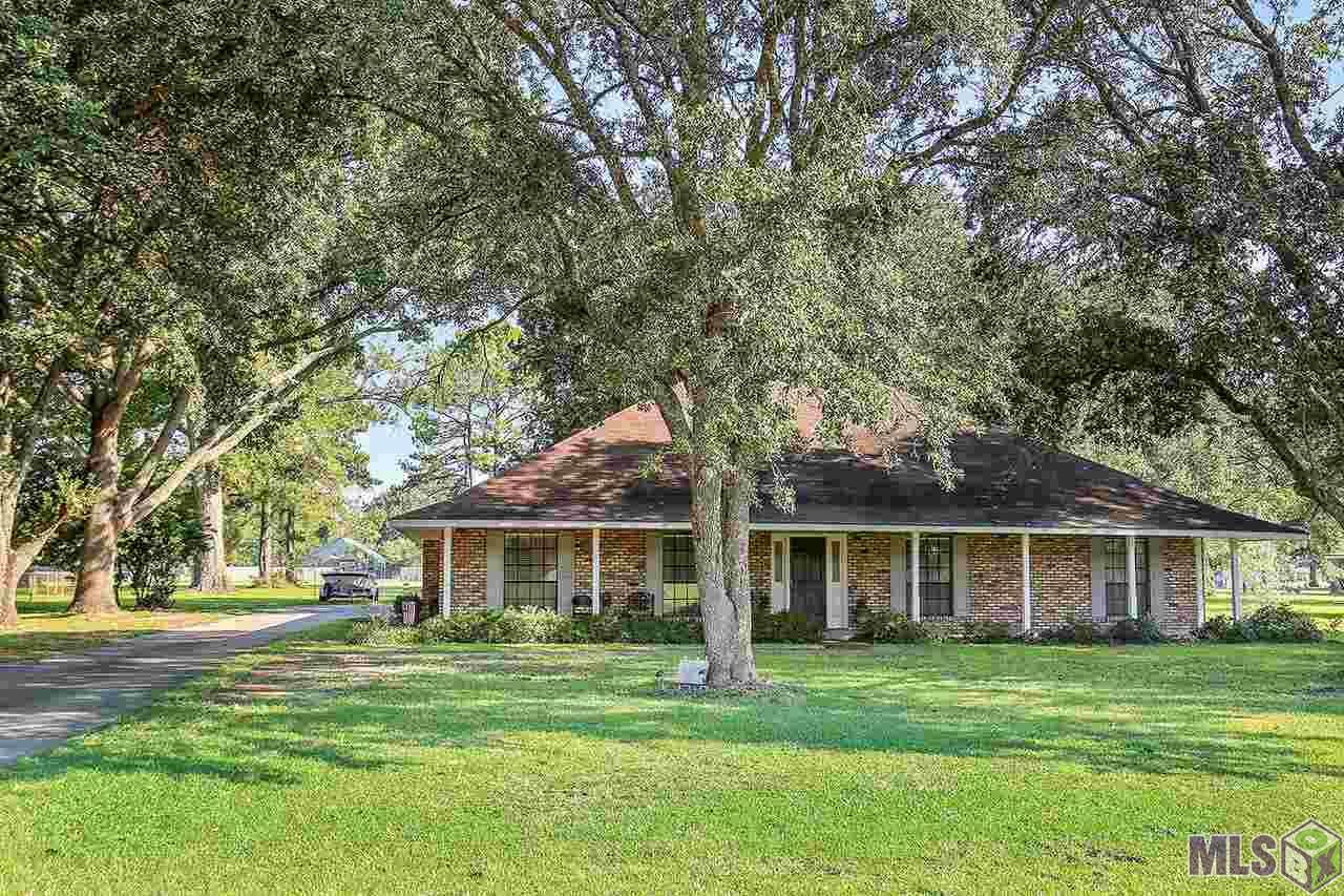 10505 Tallowwood Ave - Photo 1