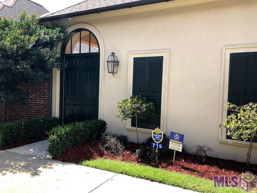 715 Elderflower Alley West - Photo 1