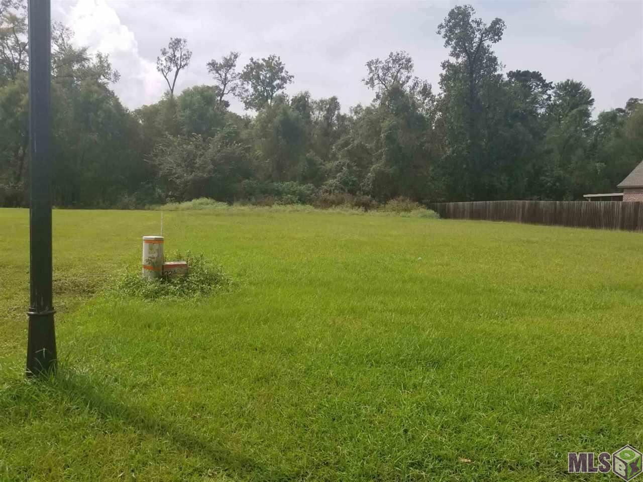 11827 River Highlands - Photo 1