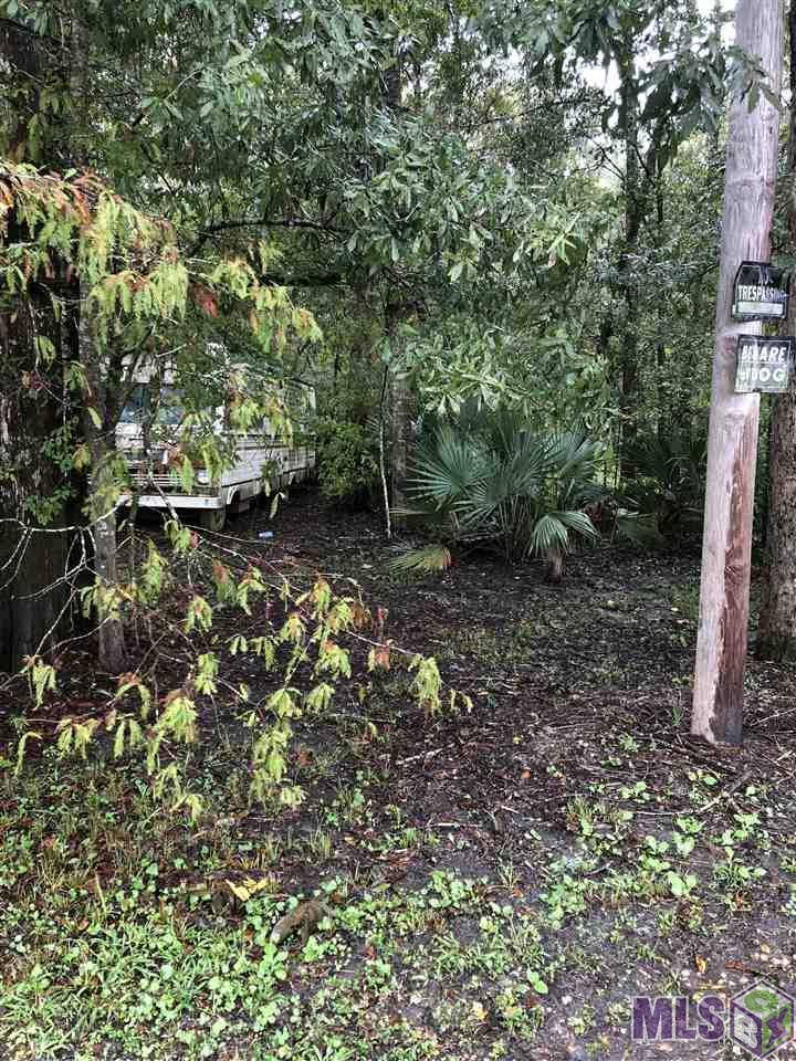 Lot 20 Amite River Rd - Photo 1