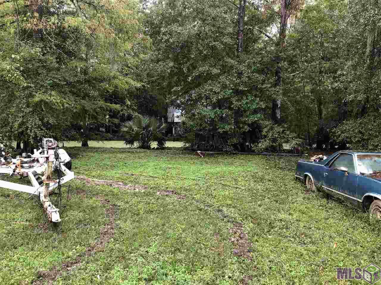 Lot 21 Amite River Rd - Photo 1