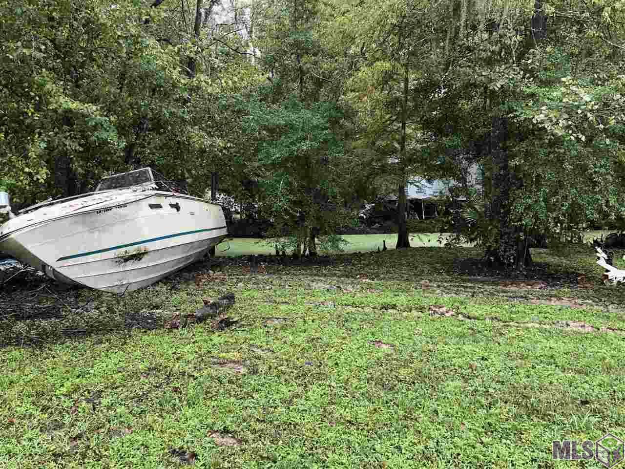 Lot 22 Amite River Rd - Photo 1