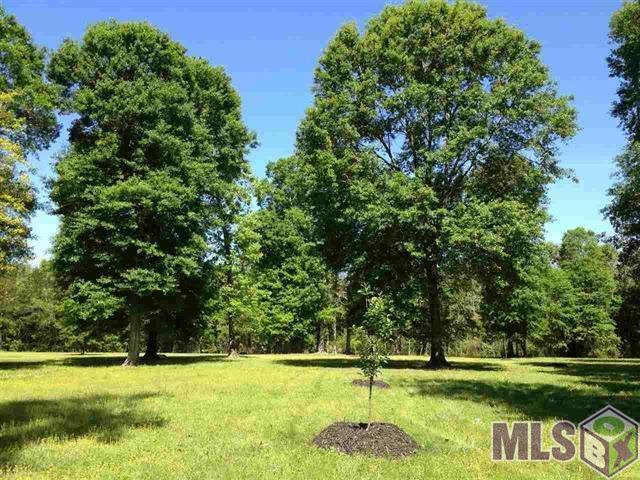 AP-3-B-4-A Old Mill Settlement Rd - Photo 1