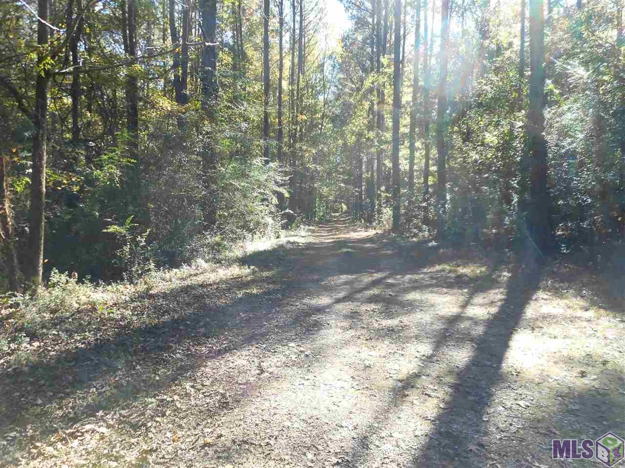 7430-A Lane Rd - Photo 1
