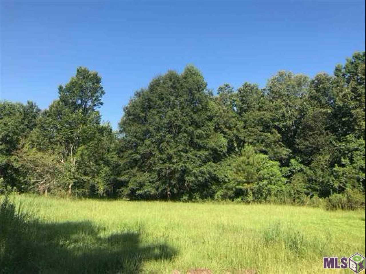 13368 Lovett Rd - Photo 1