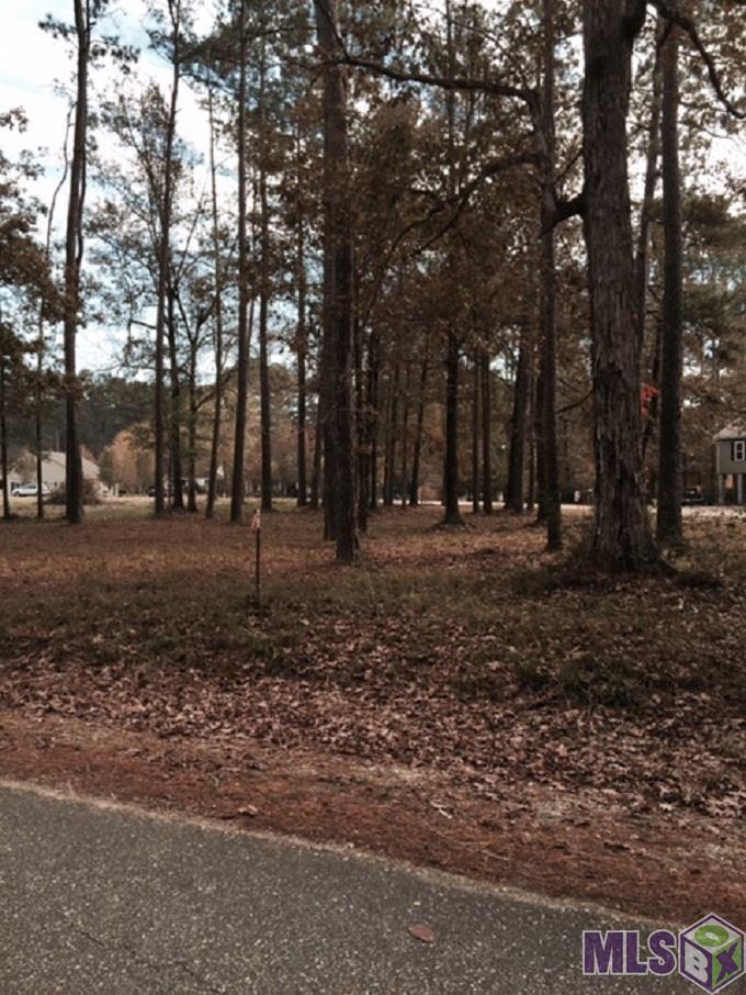 Lot 323 River Pines Dr - Photo 1