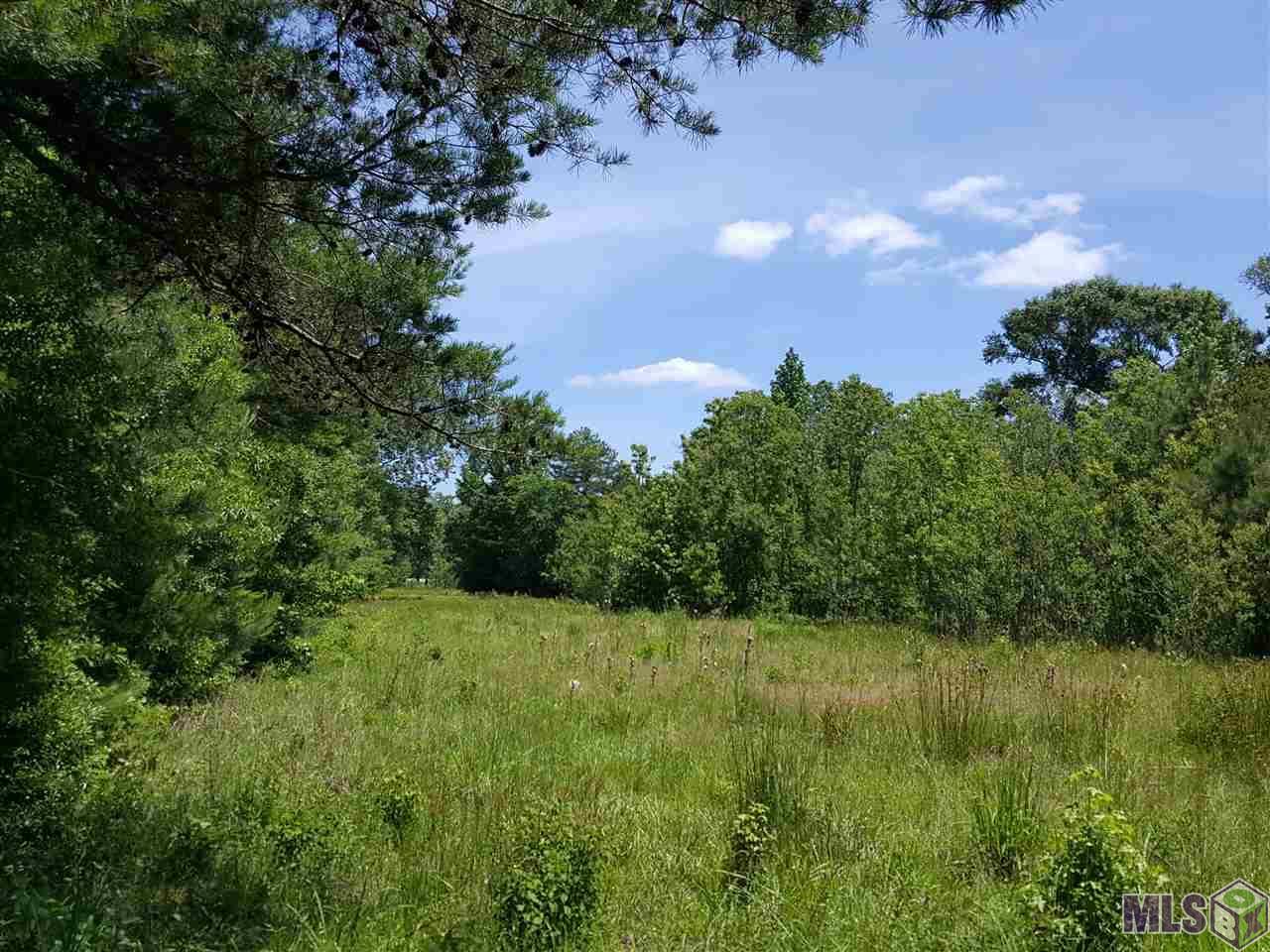 Lot 6 La Hwy 432 - Photo 1