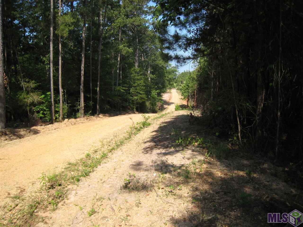 505 Sterling Rd - Photo 1