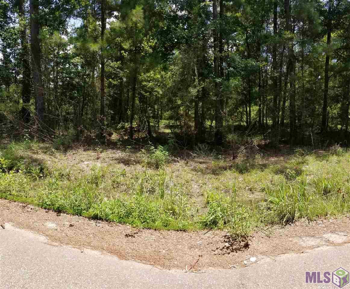 TBD Lorin Wall Rd - Photo 1