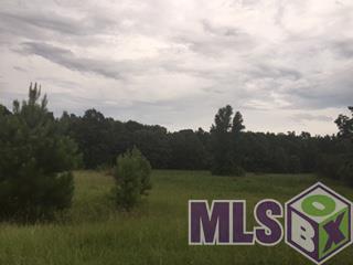 10912 La Hwy 965 - Photo 1