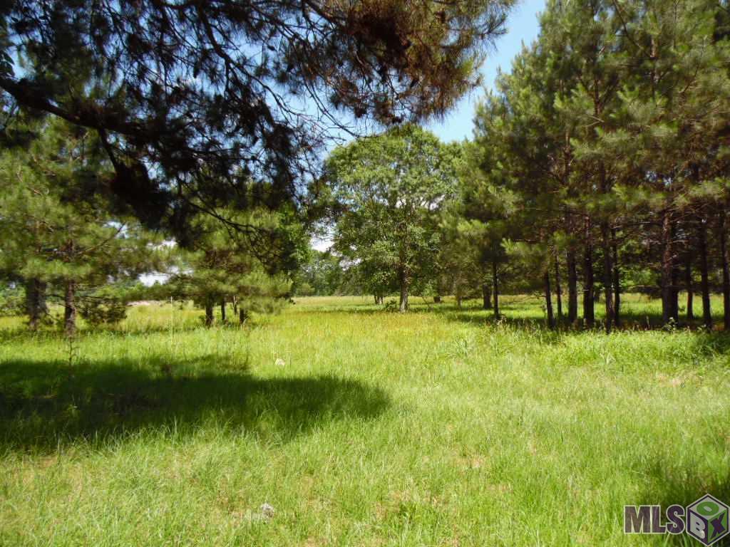 9950 Munson Dr - Photo 1