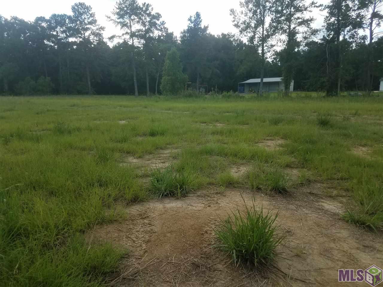 Lot # 1-E-4 Lebeau Rd - Photo 1