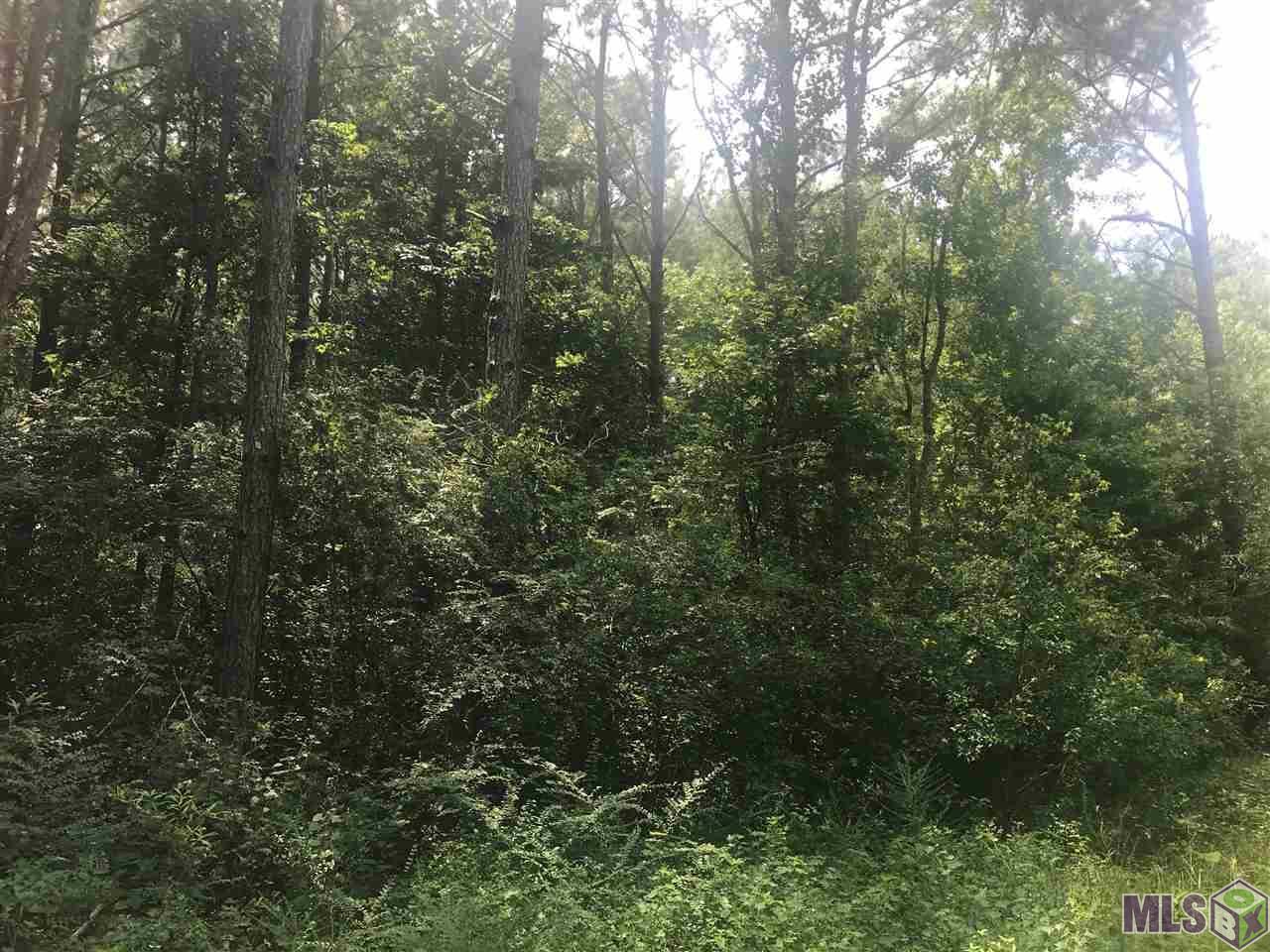 N/A Saucier Rd - Photo 1