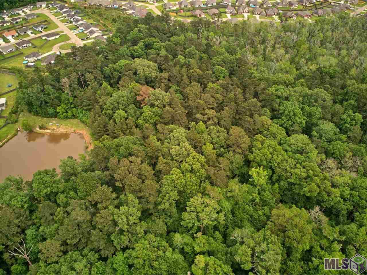 22700 Loving Lane - Photo 1