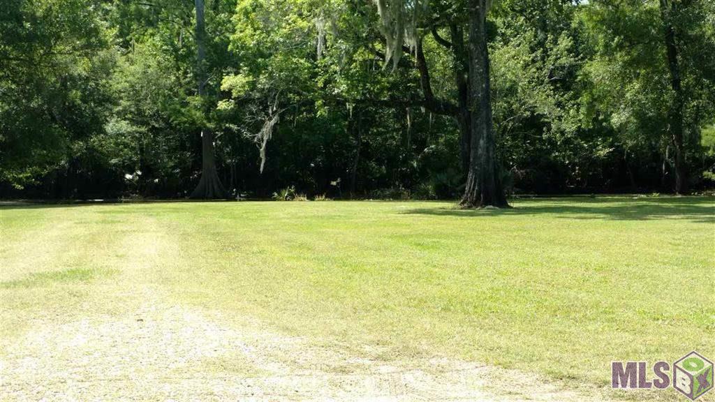 57 Petite Dr - Photo 1