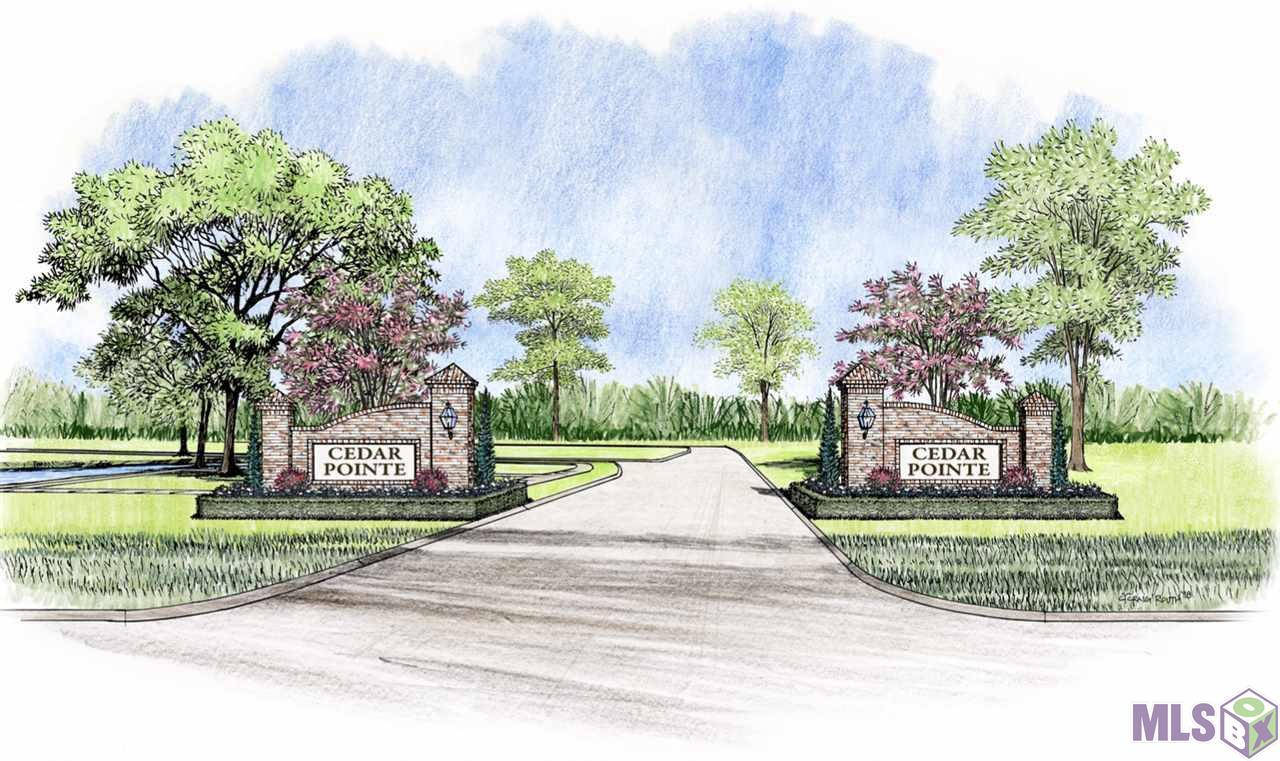 TBD1 Cedar Pointe Dr - Photo 1