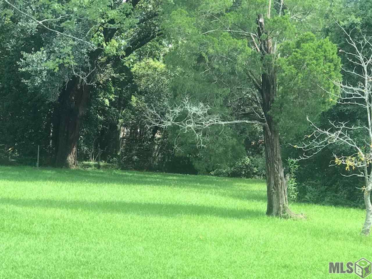 Lots 640-A,B,C Oliphant Rd - Photo 1