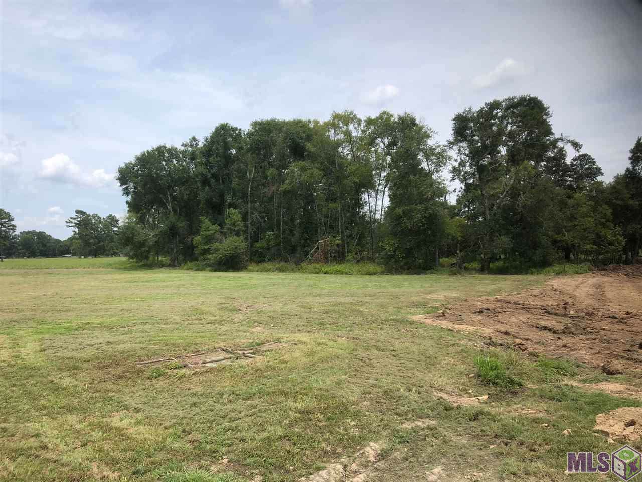 18069 Critter Cove Ln - Photo 1
