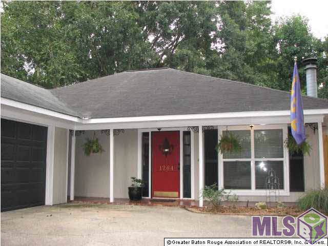 1264 Bullrush Dr - Photo 1