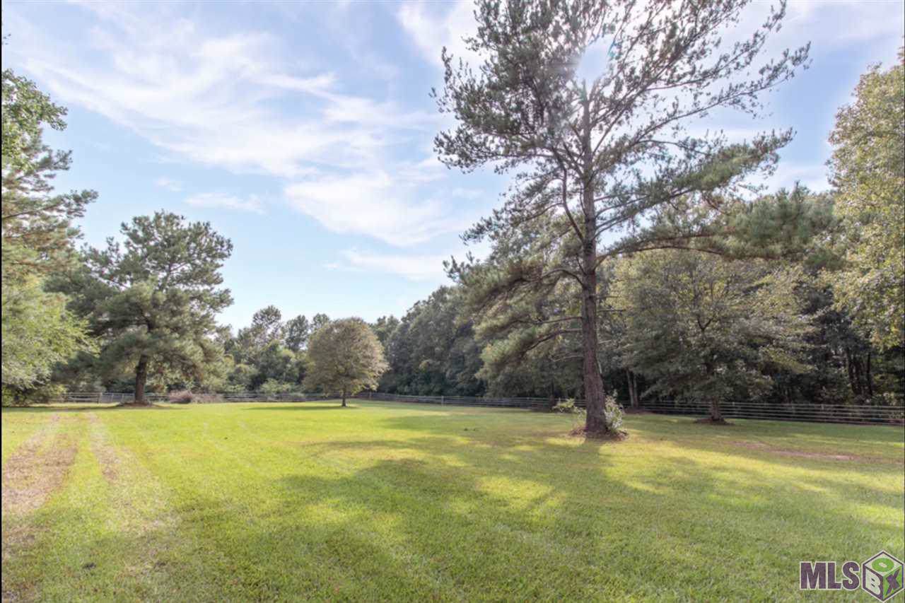 34255 Cane Market Rd - Photo 1