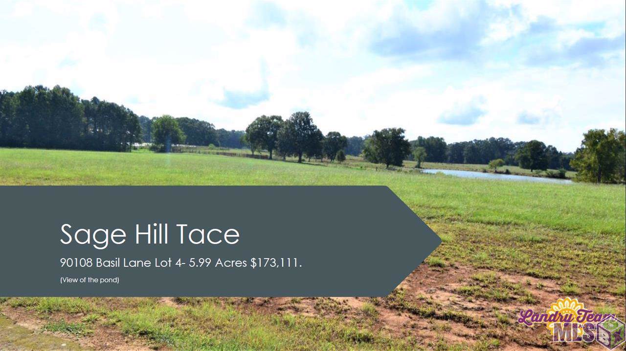 90108 Basil Ln - Photo 1