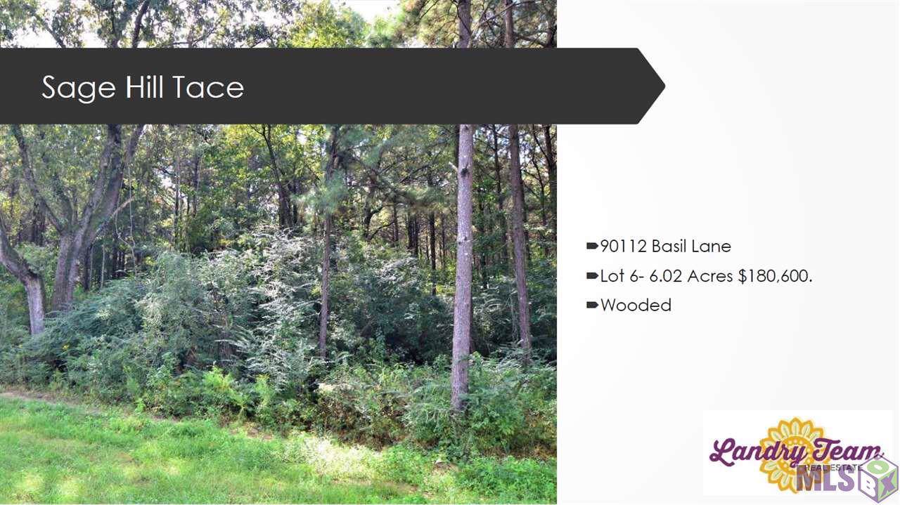 90112 Basil Ln - Photo 1