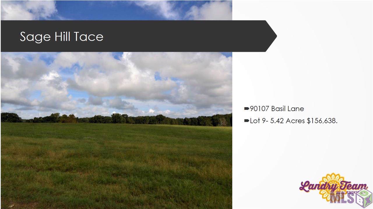90107 Basil Ln - Photo 1