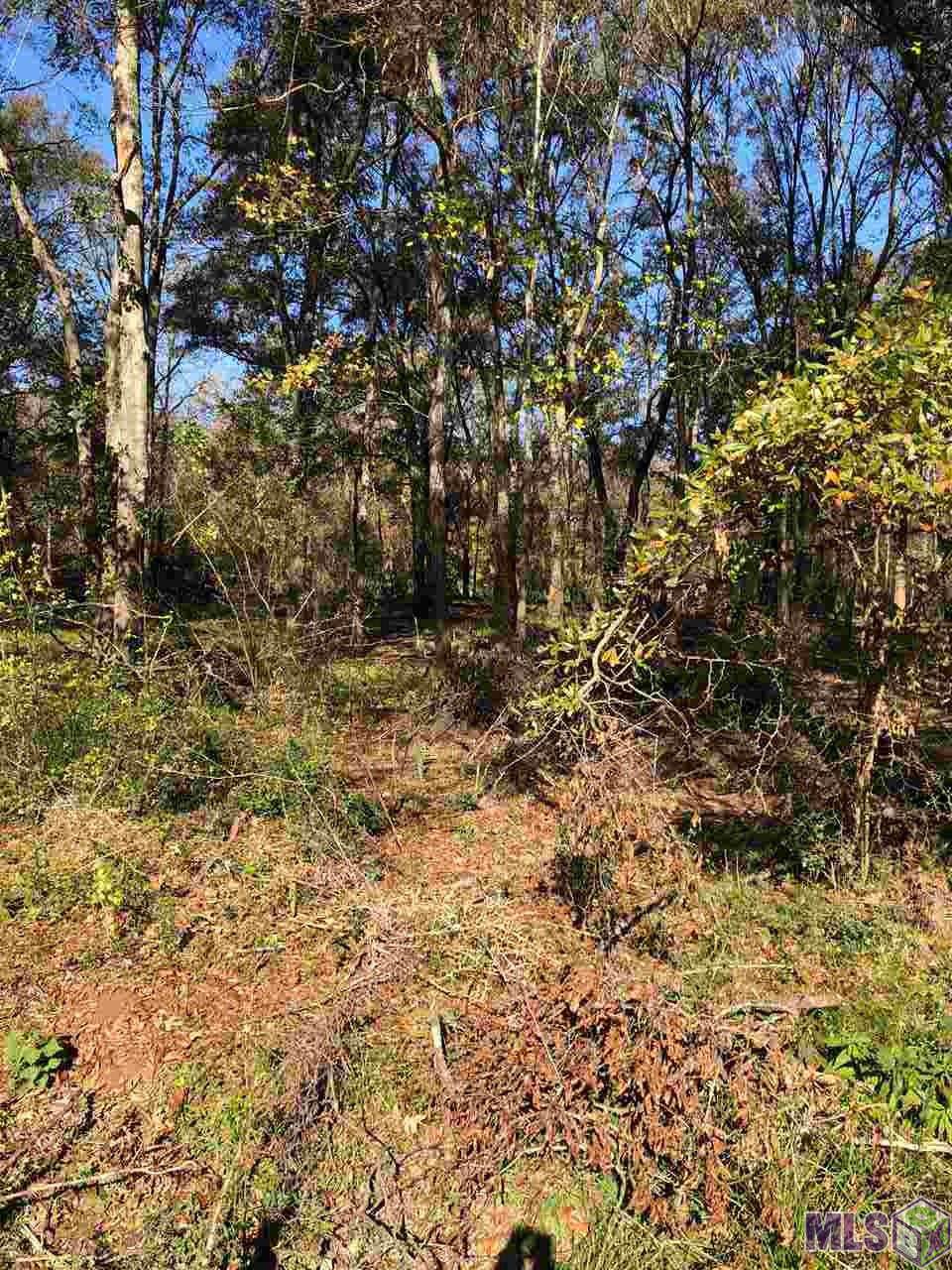 TBD Lot 2 Muddy Creek Rd - Photo 1