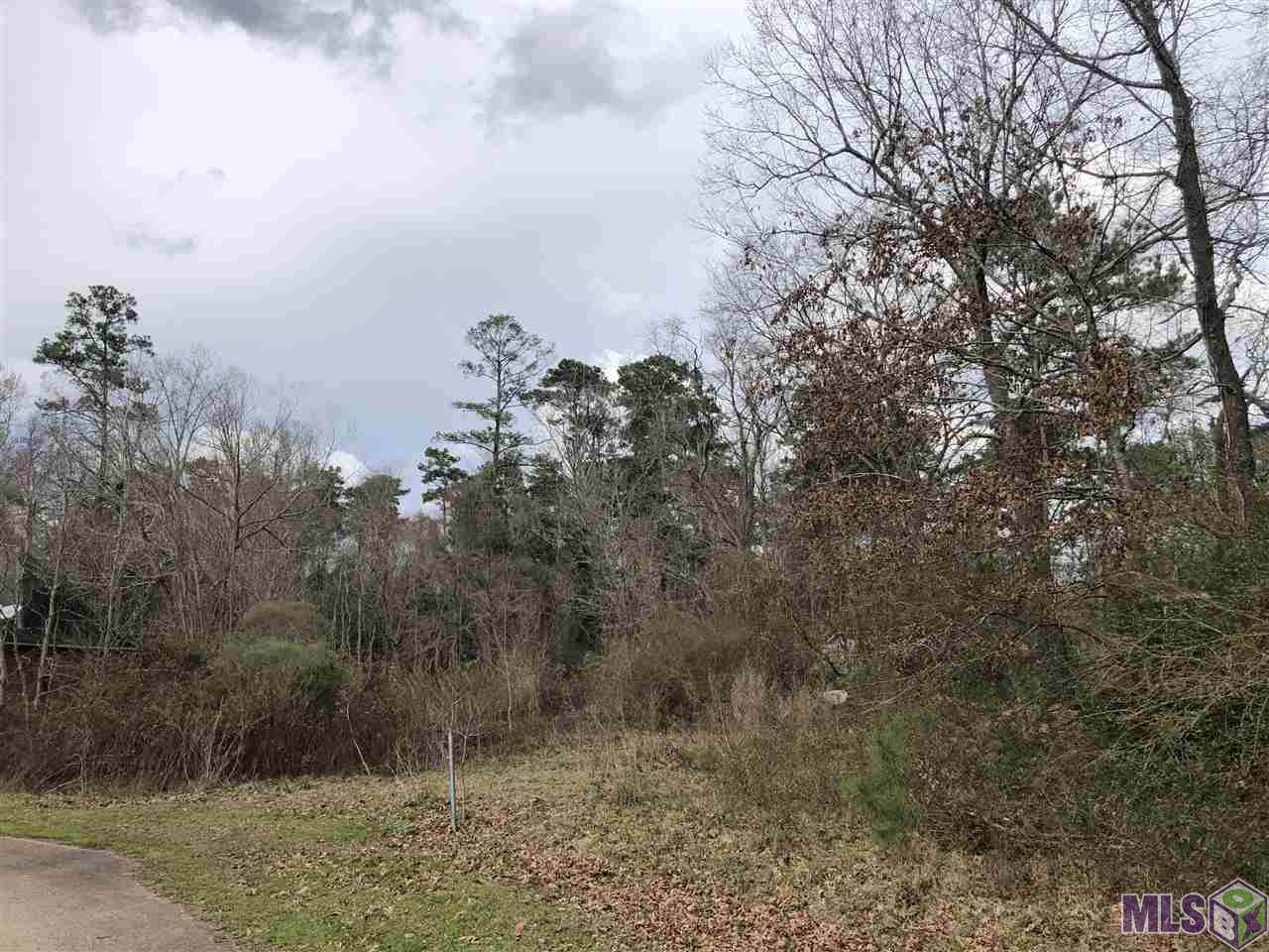 8093 Wolf Creek Place - Photo 1