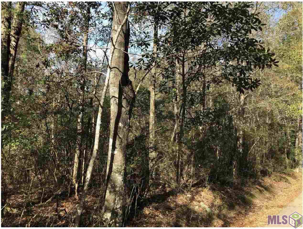 TBD Howes Cemetery Rd - Photo 1