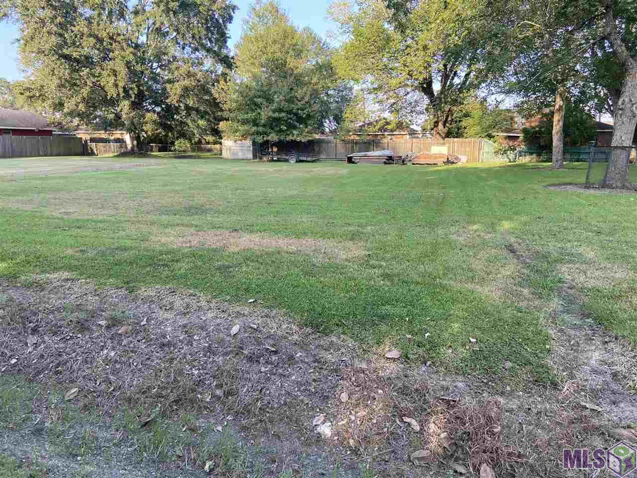 000 Camellia Ave - Photo 1