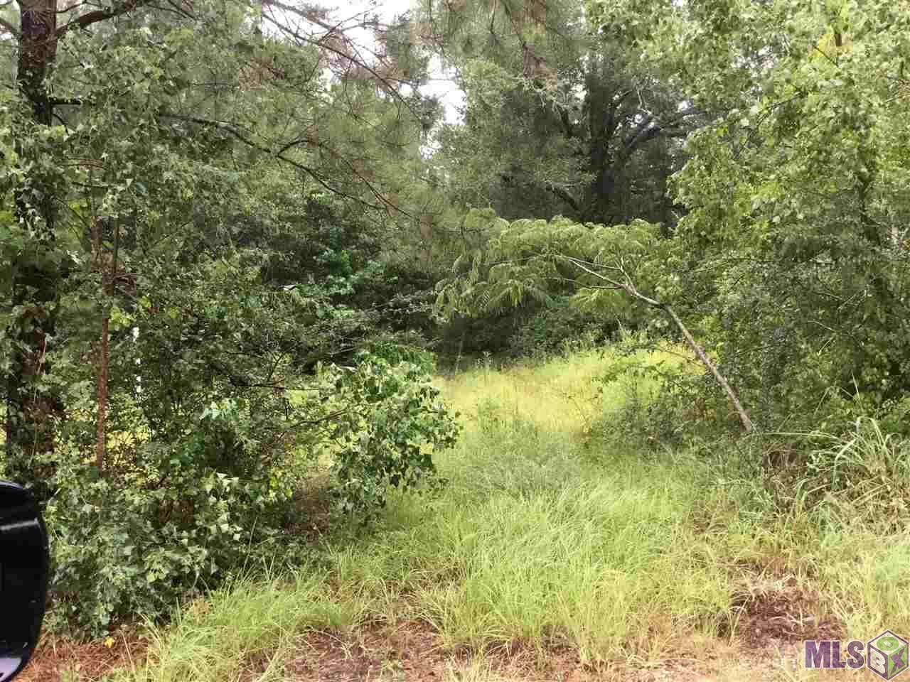 000 Black Cat Rd - Photo 1 000 Black Cat Rd - Photo 1