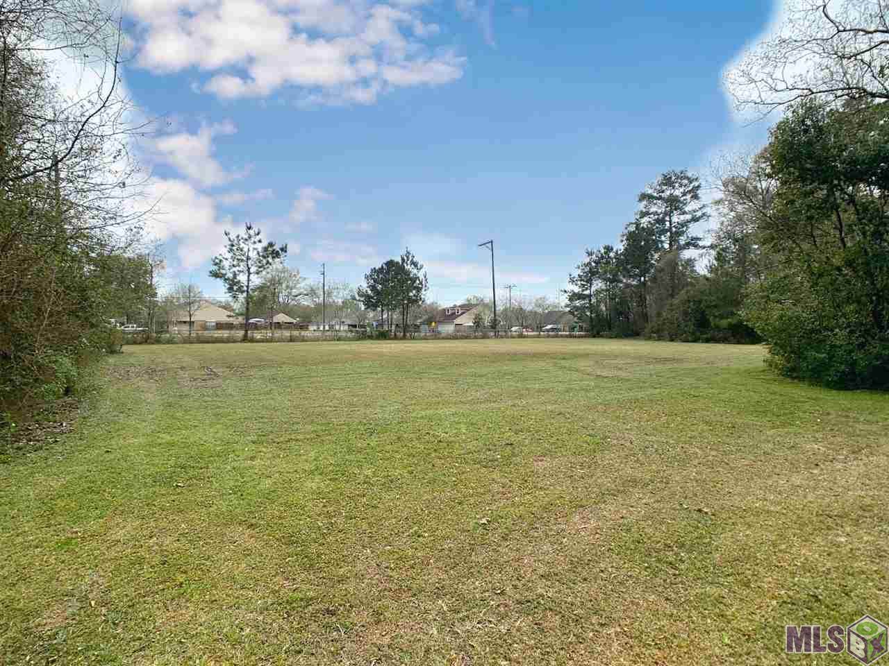16239 George Oneal Rd - Photo 1