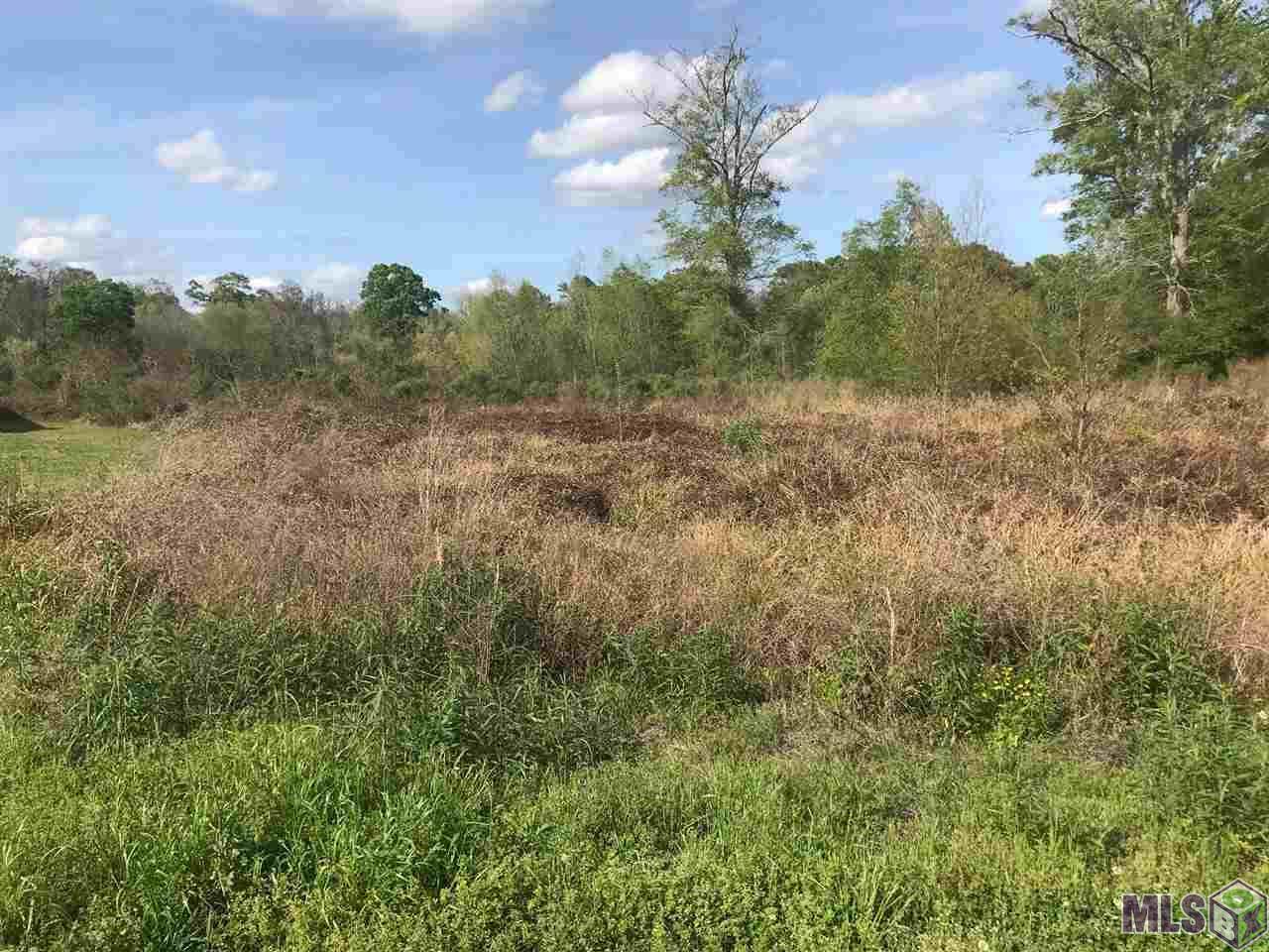 Lot # 14 Amite Acres - Photo 1 Lot # 14 Amite Acres - Photo 1