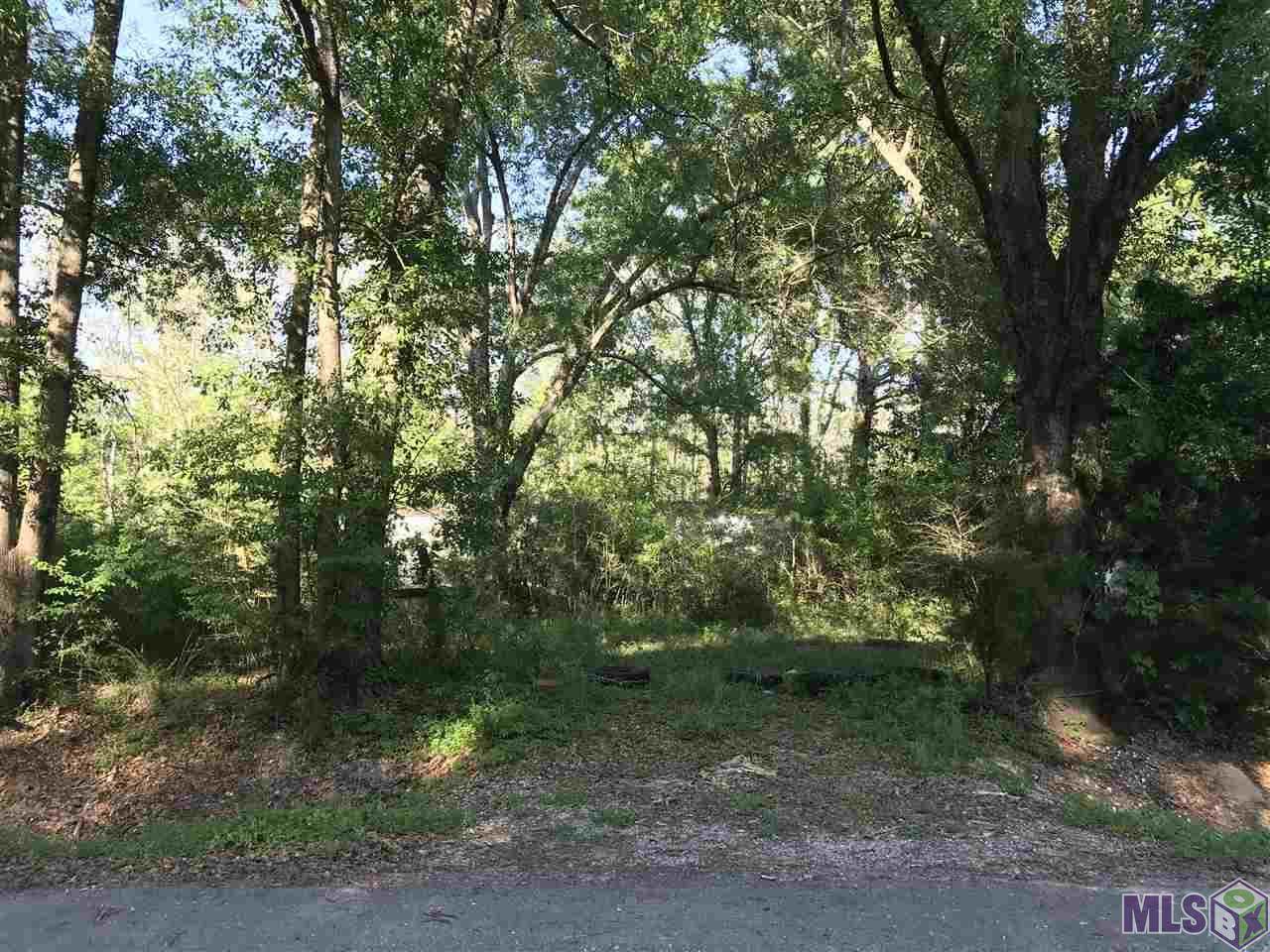18620 Manchac Point Rd - Photo 1 18620 Manchac Point Rd - Photo 1