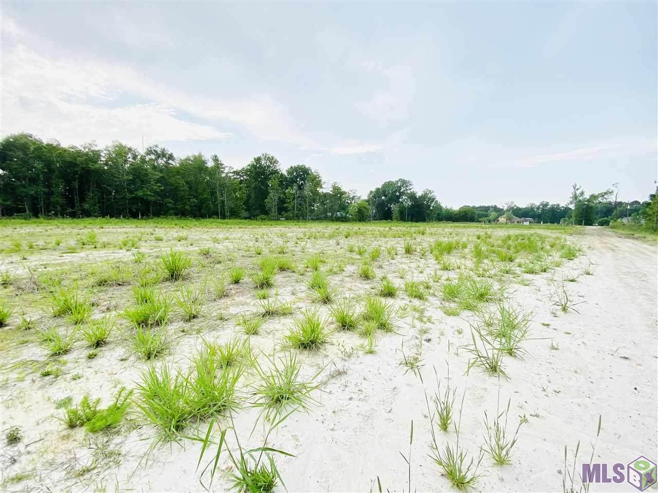 16272 Hooper Rd - Photo 1