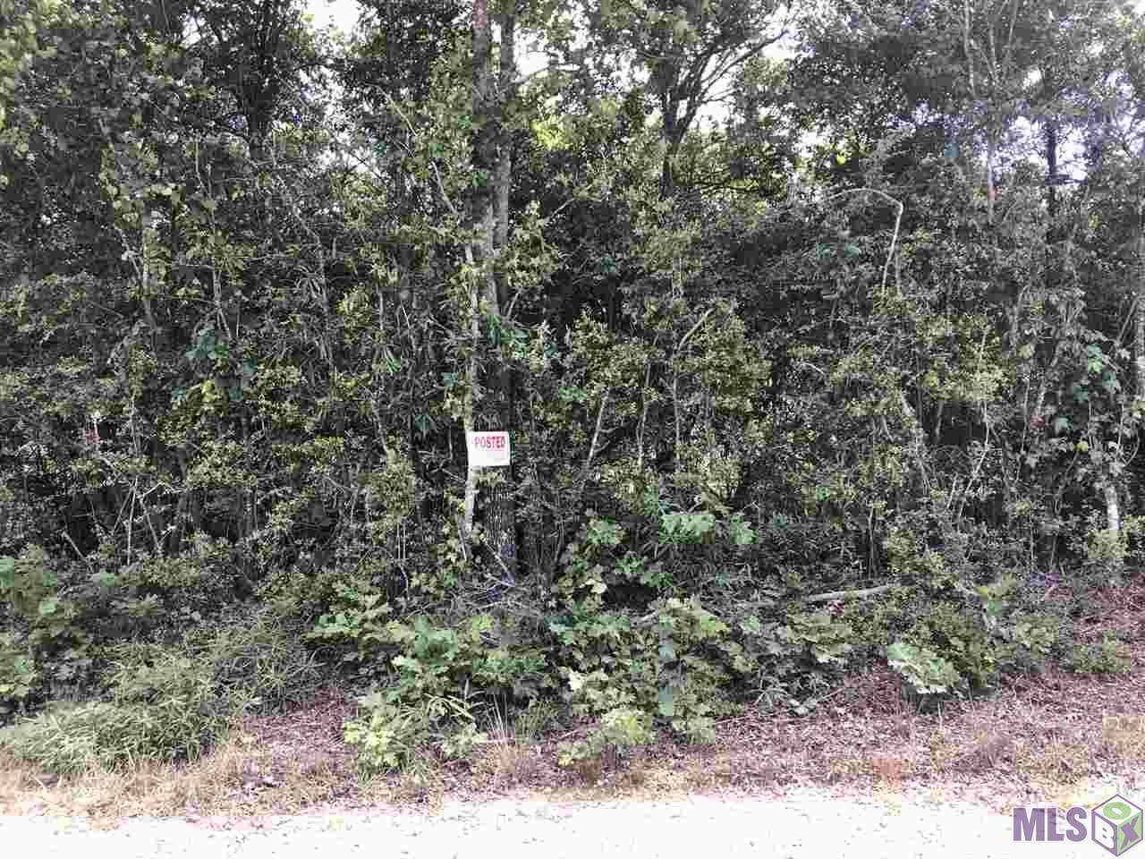 9303 John Thomas Ln - Photo 1