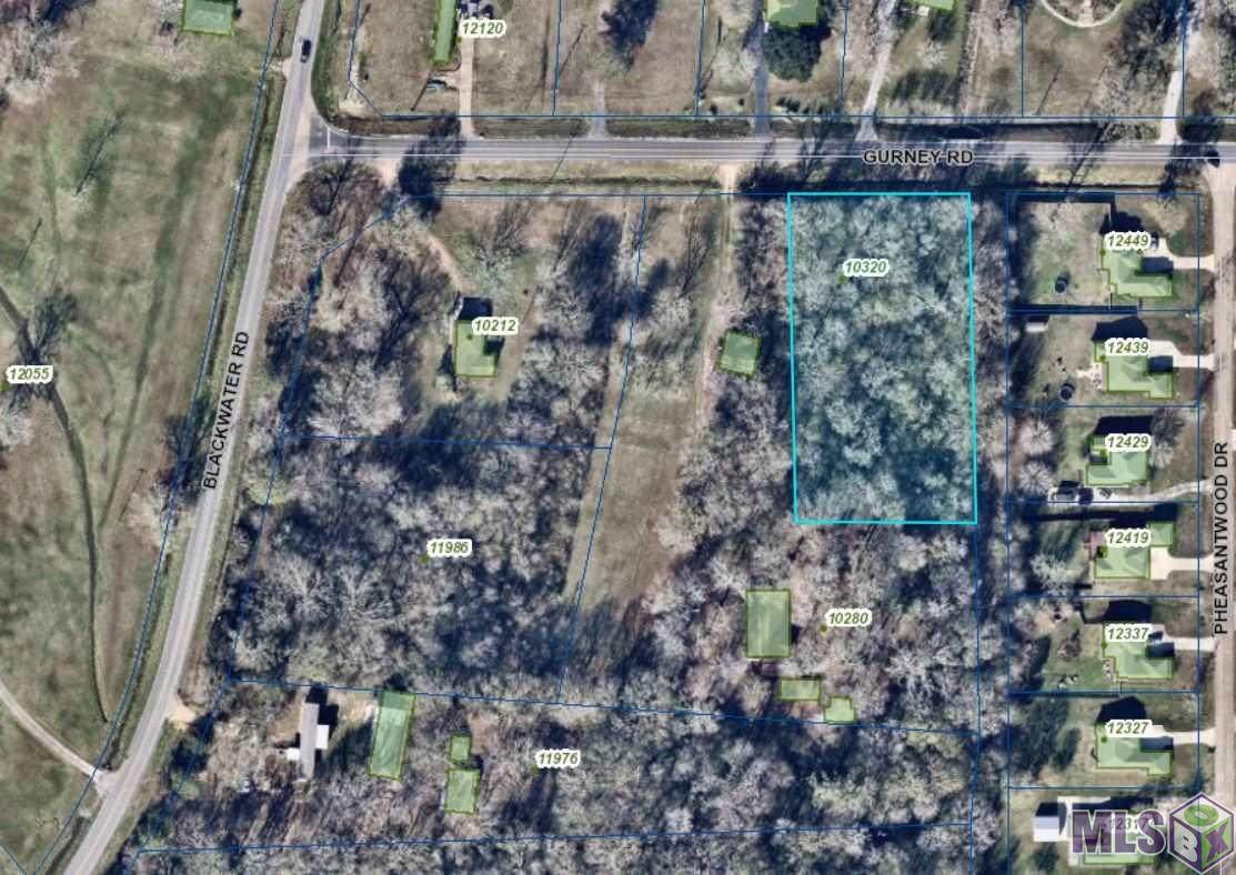 10320 Gurney Rd - Photo 1