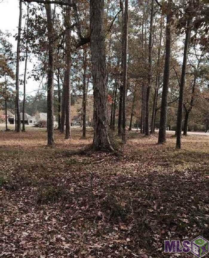 323 River Pines Dr - Photo 1