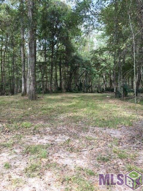 Lot # 1 La Hwy 22 - Photo 1