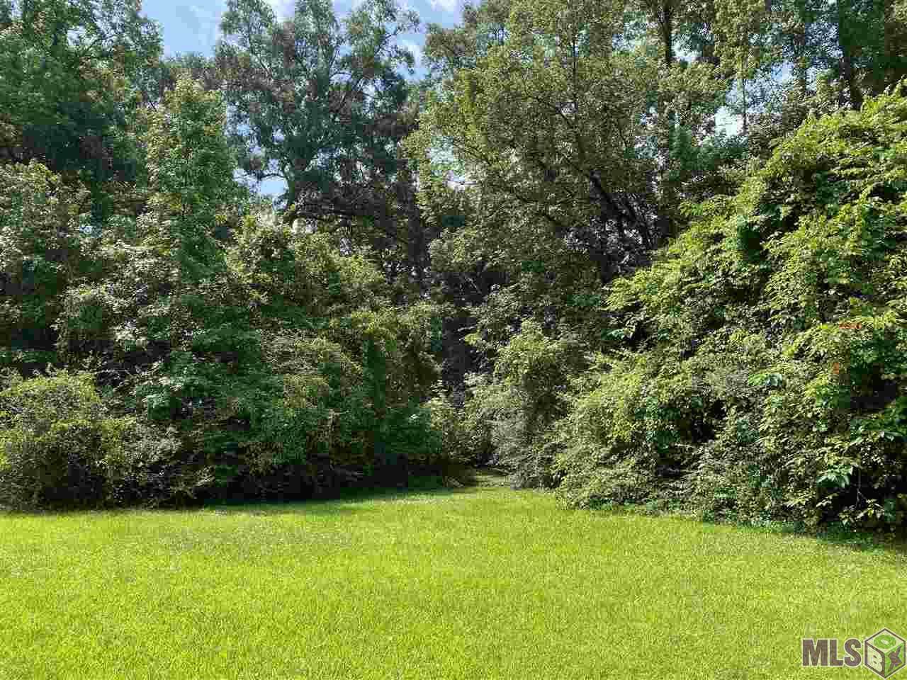 244 Magnolia Wood Ave - Photo 1 244 Magnolia Wood Ave - Photo 1