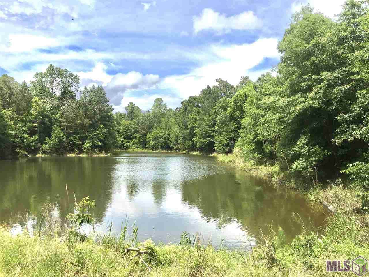 TBD Trask Rd - Photo 1