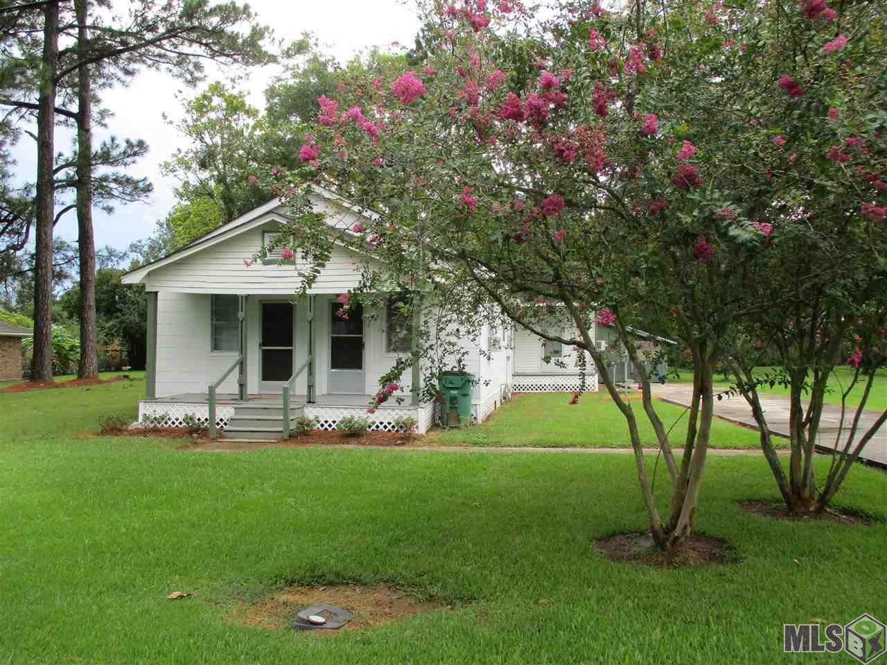 10050 Roppolo St - Photo 1