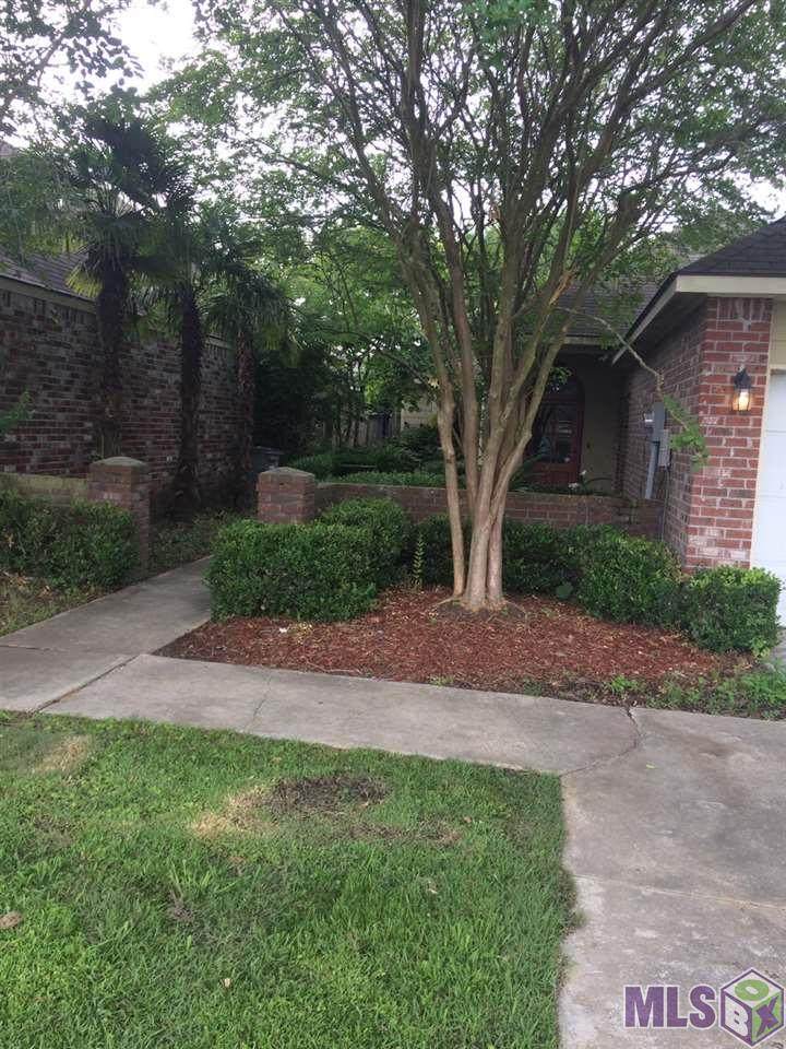 3906 Northshore Ave - Photo 1