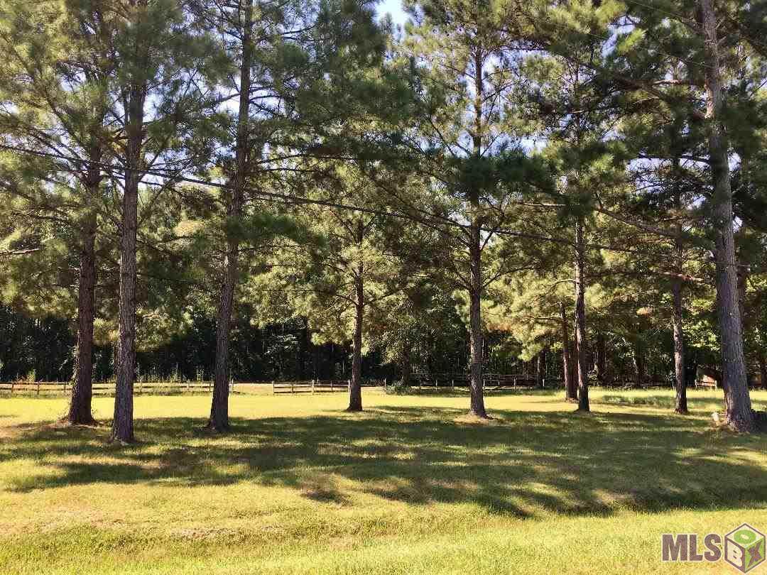 LOT 4 Bo Derrick Dr - Photo 1
