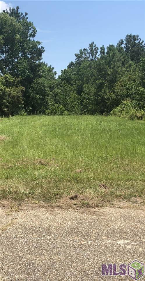0 Ponchatoula Dr - Photo 1