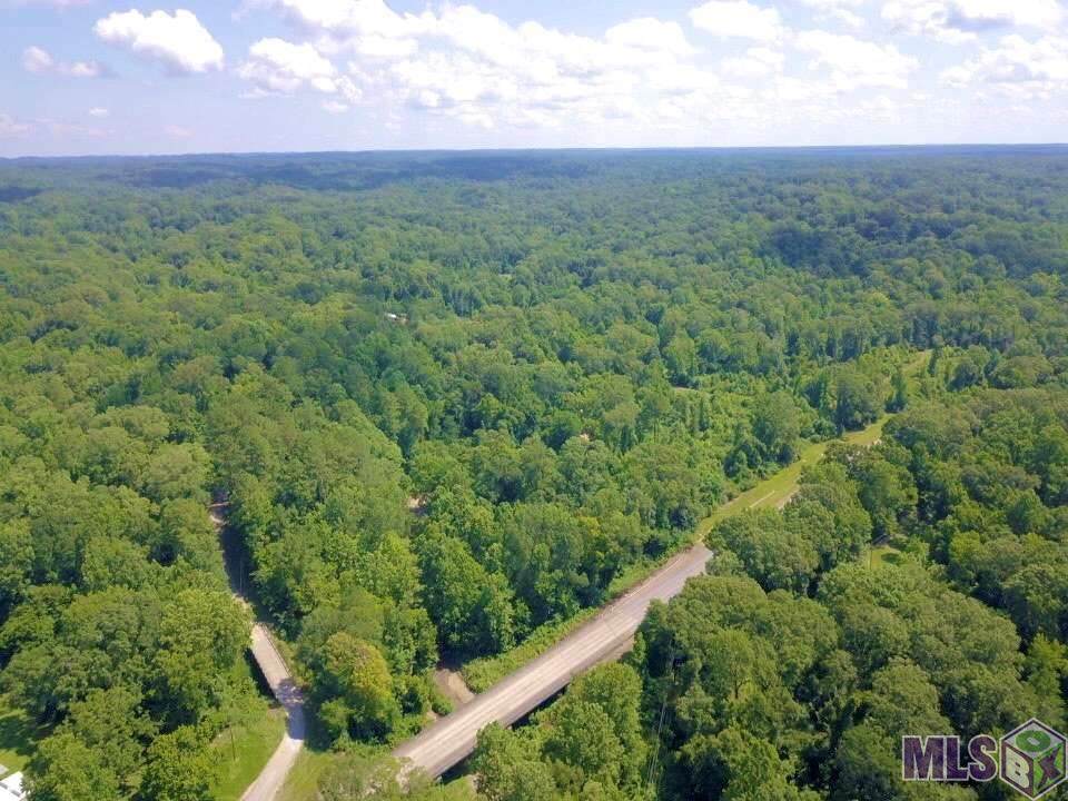 12200 Farrar Davis Rd - Photo 1