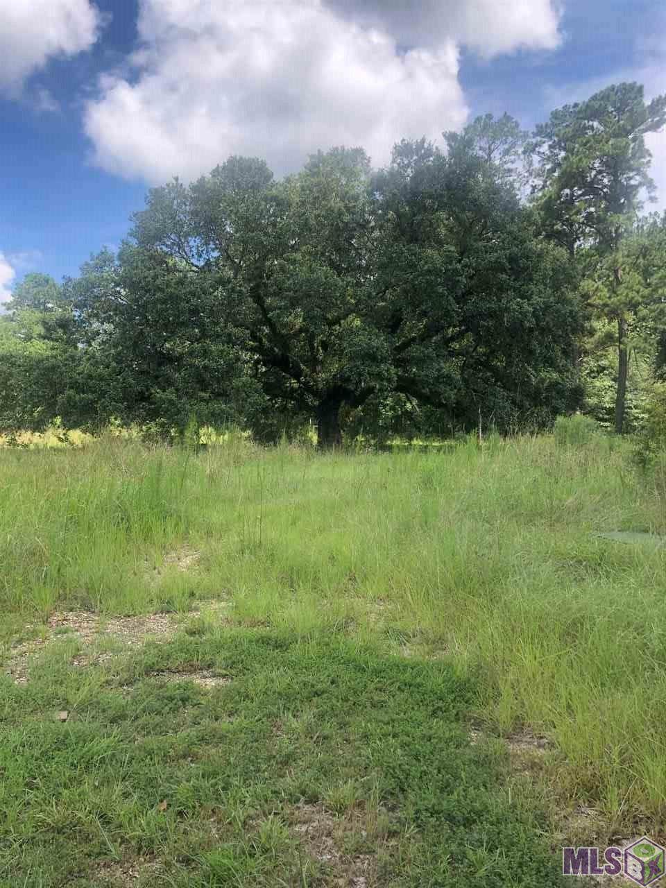 27500 Patterson Rd - Photo 1
